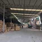  5500m2 - 6