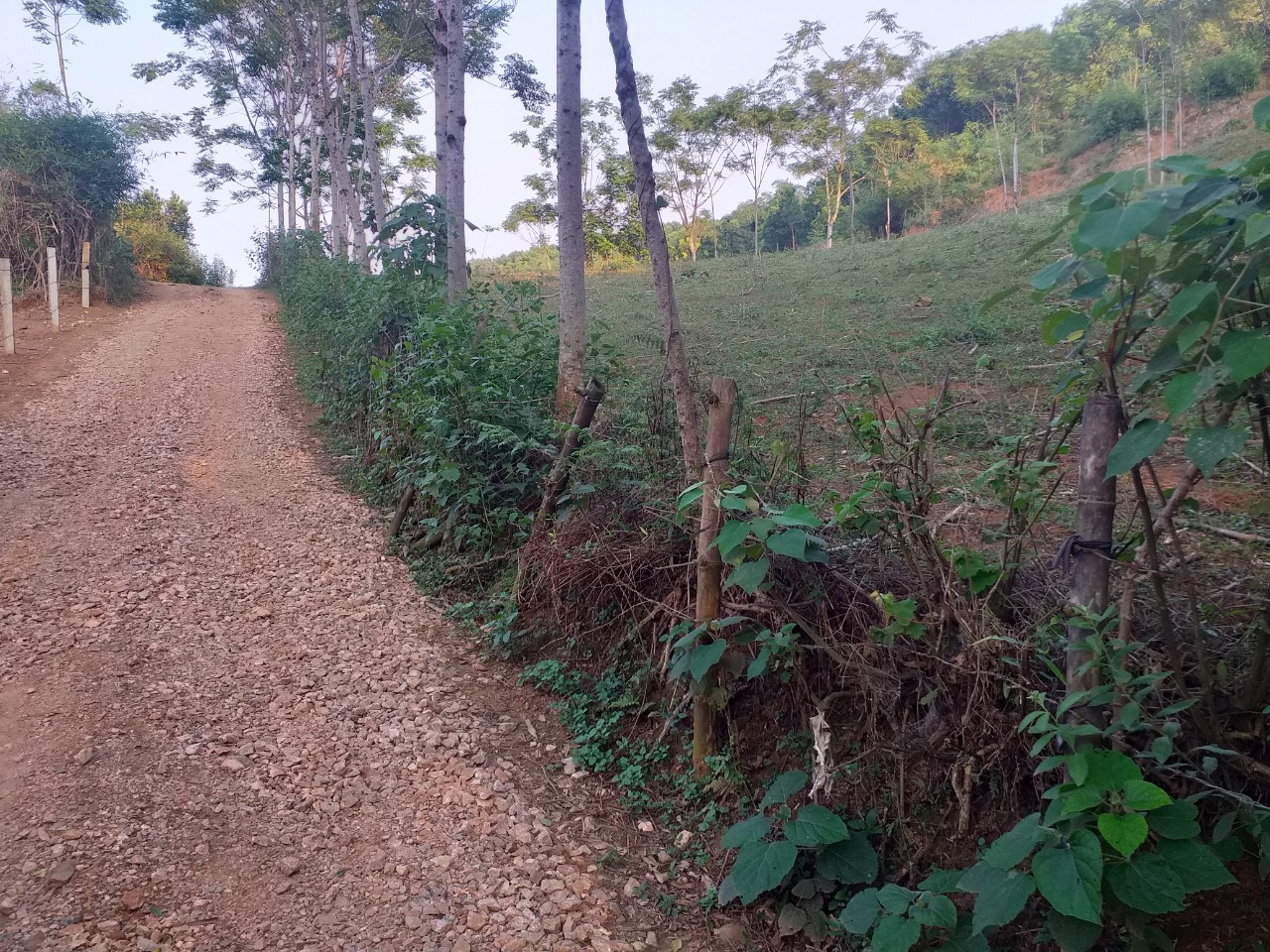 BÁN LÔ ĐẤT1150m NHỎ XINH TẠI KIM BÔI GIÁ 7XXTR