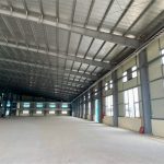  10000m2 - 1