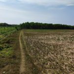  1000m2 - 1