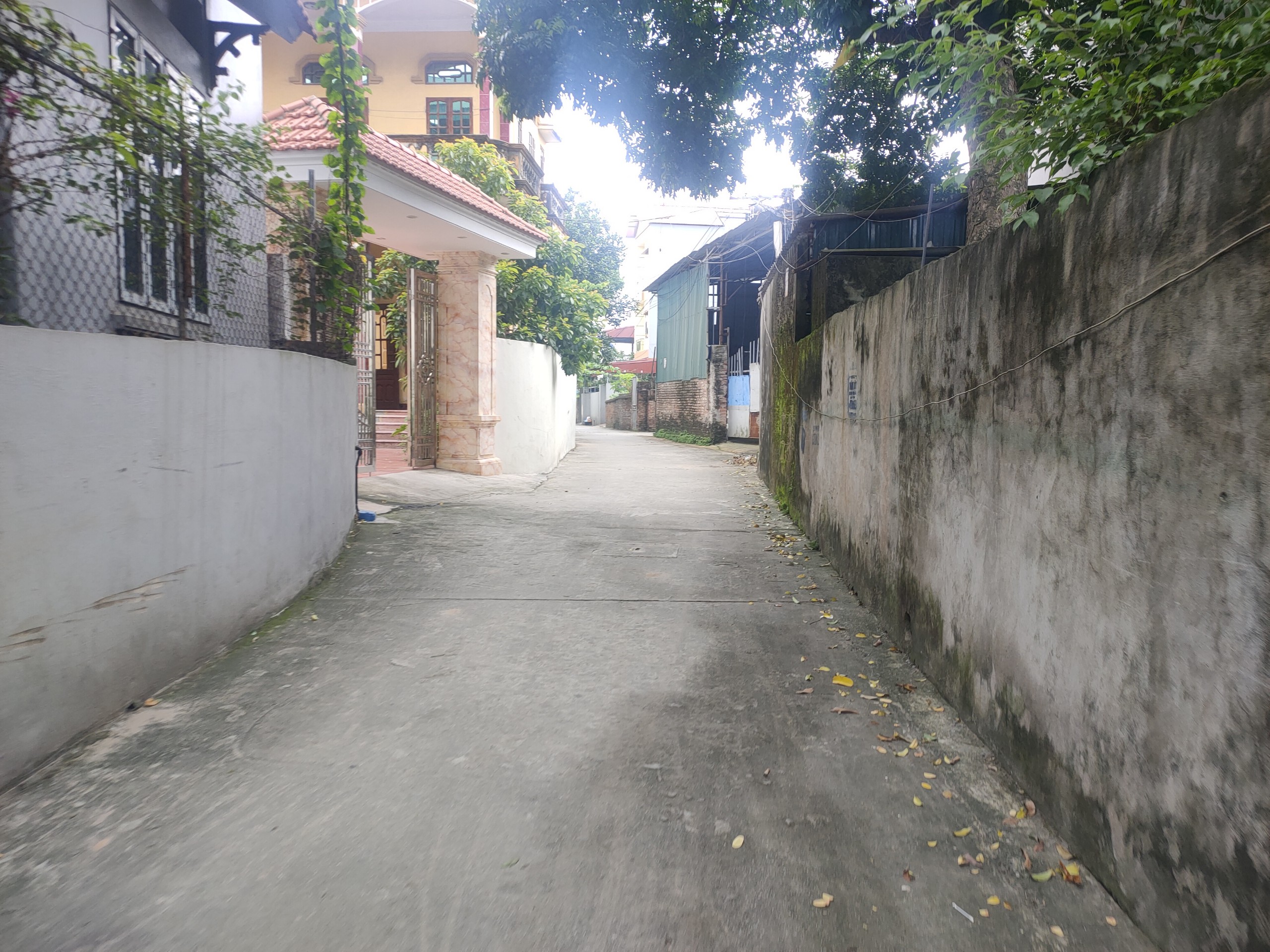 Cần bán gấp 86m Lạc đạo, ô tô vào thoải mái, 1.x tỷ.