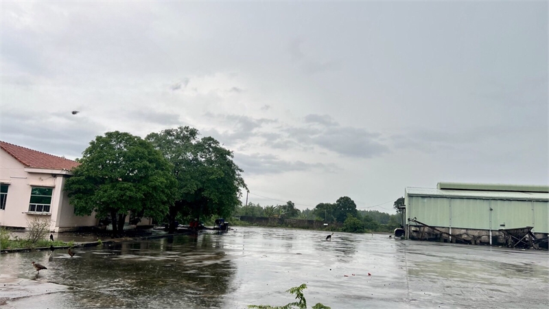 cho thuê nhà xưởng, kho bãi, diện tích đất hơn 30,000m2. có 4000m SKC, Ngoài KCN