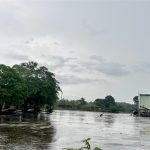  31000m2 - 1