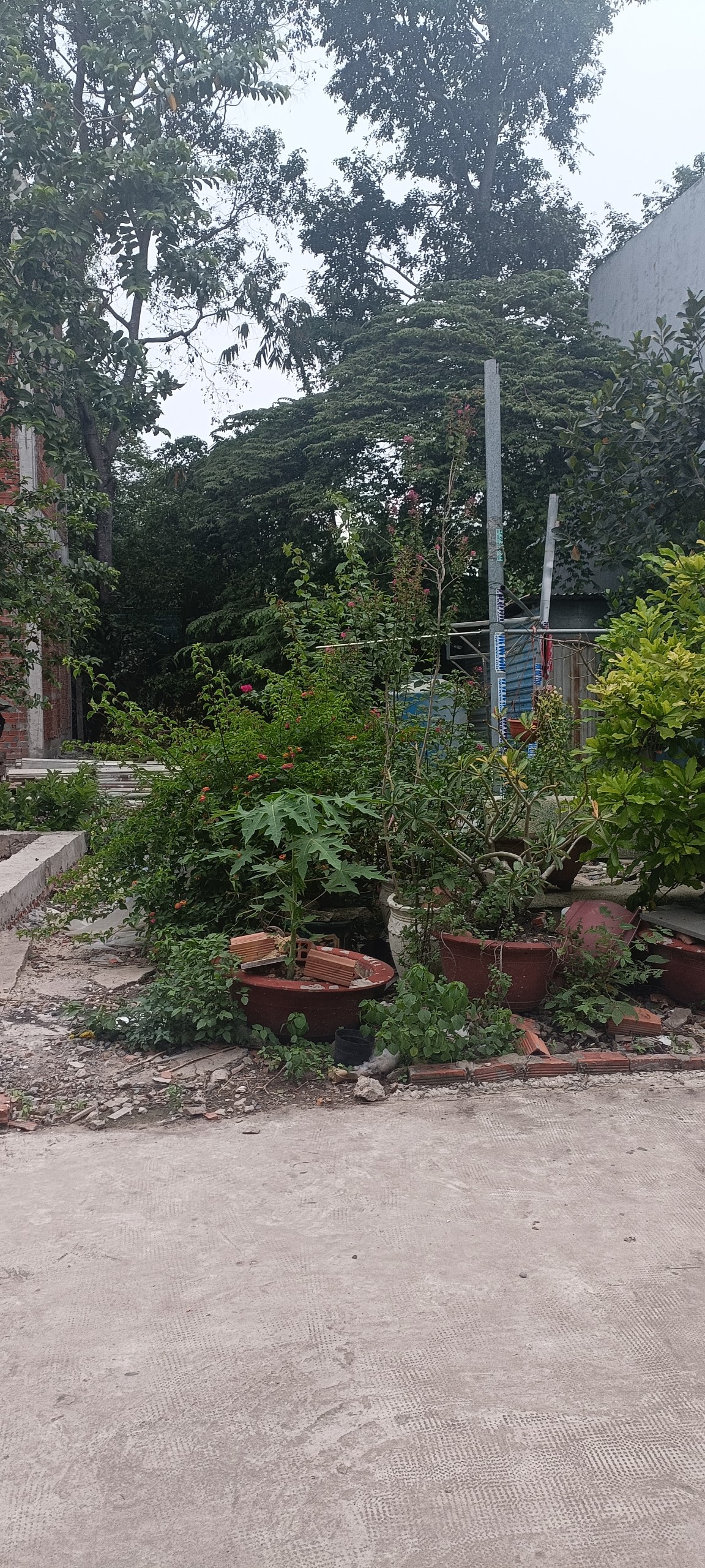 Chủ cần tiền bán gấp đất đối diện trường THCS Phú Hòa 2, TP. Thủ Dầu Một giá 2,1 tỷ