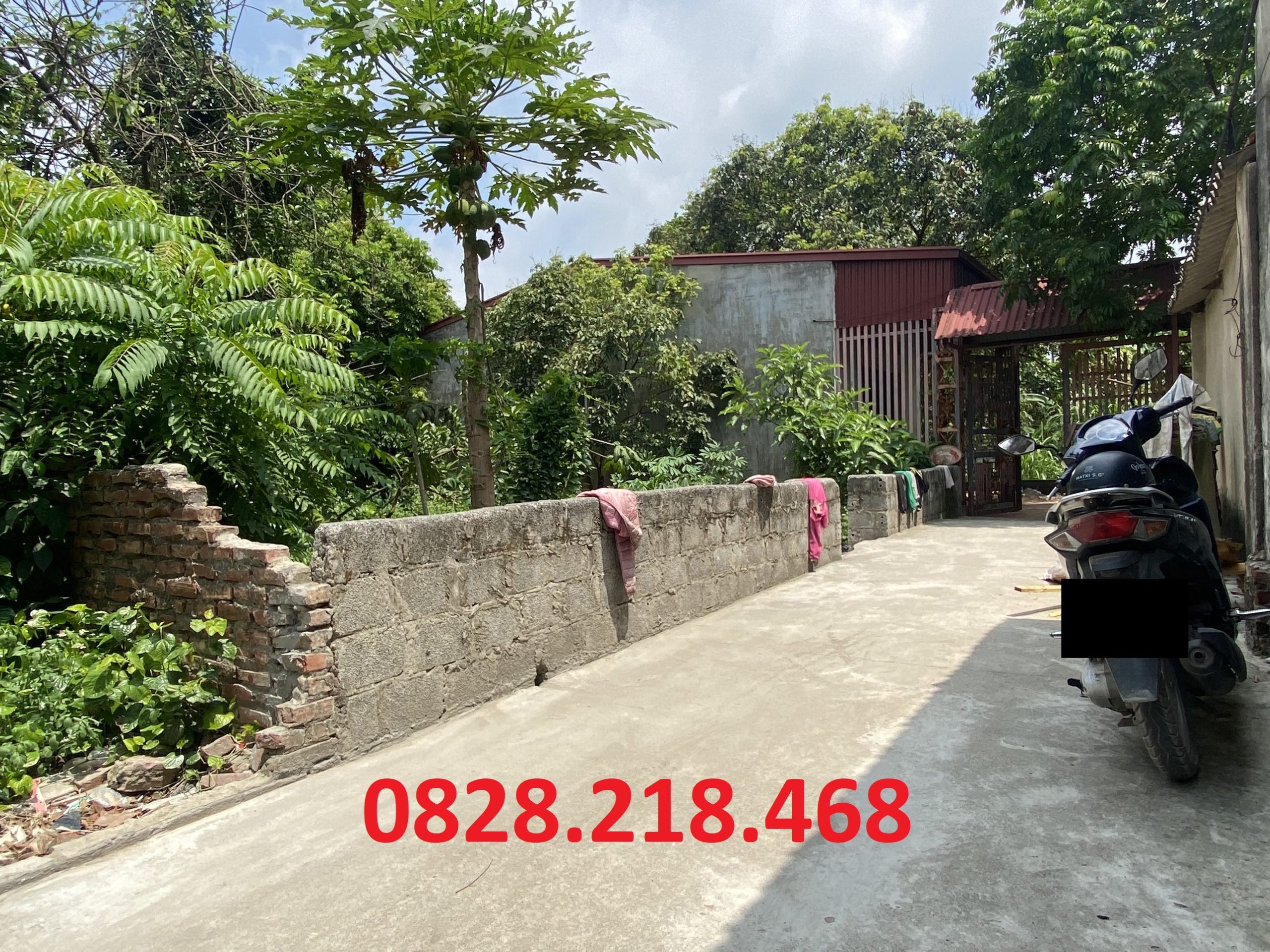 Bán lô đất vuông vắn tại Chỉ Đạo - Văn Lâm, giá chỉ 1.2 tỷ mà có 100m