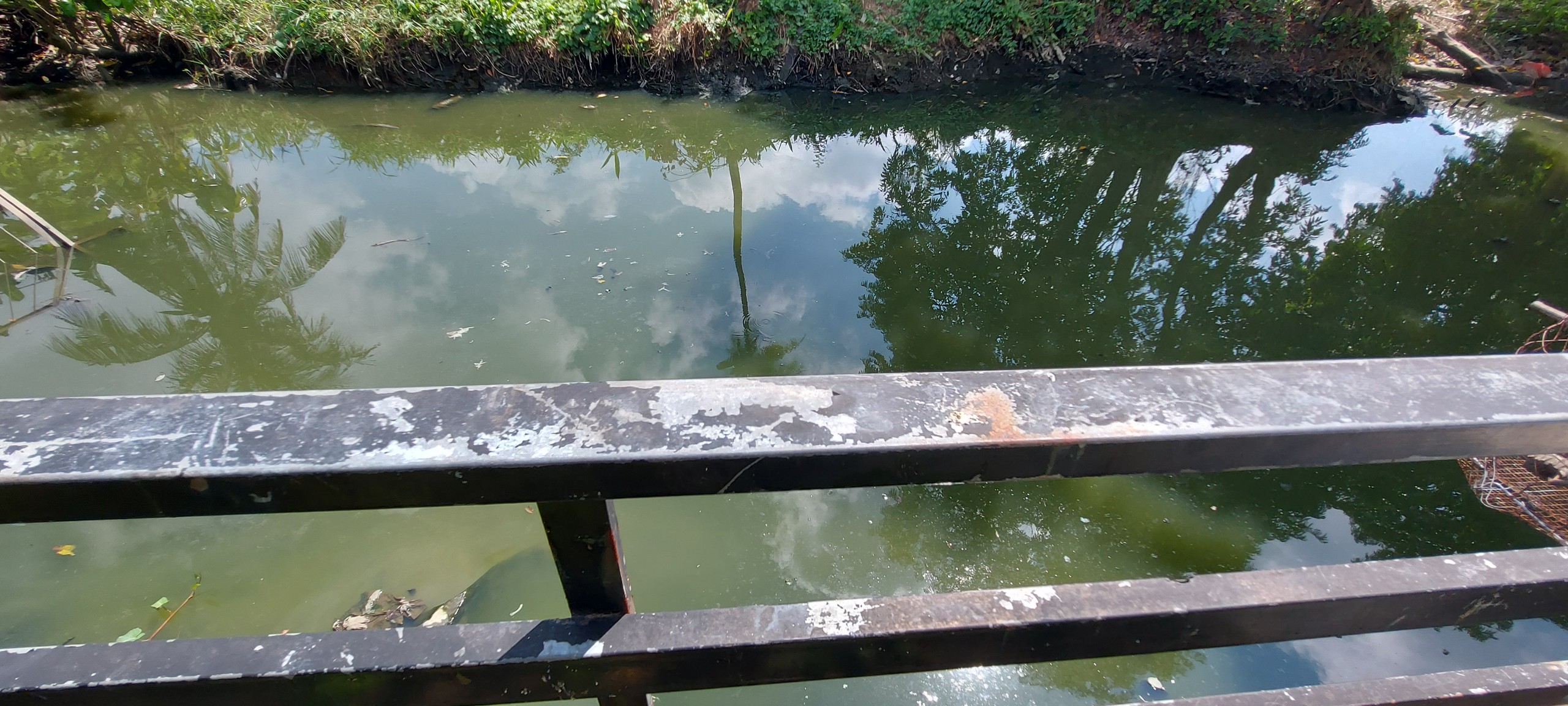 Nhà chính chủ cần bán bên sông Sài Gòn, đường nhựa 7m