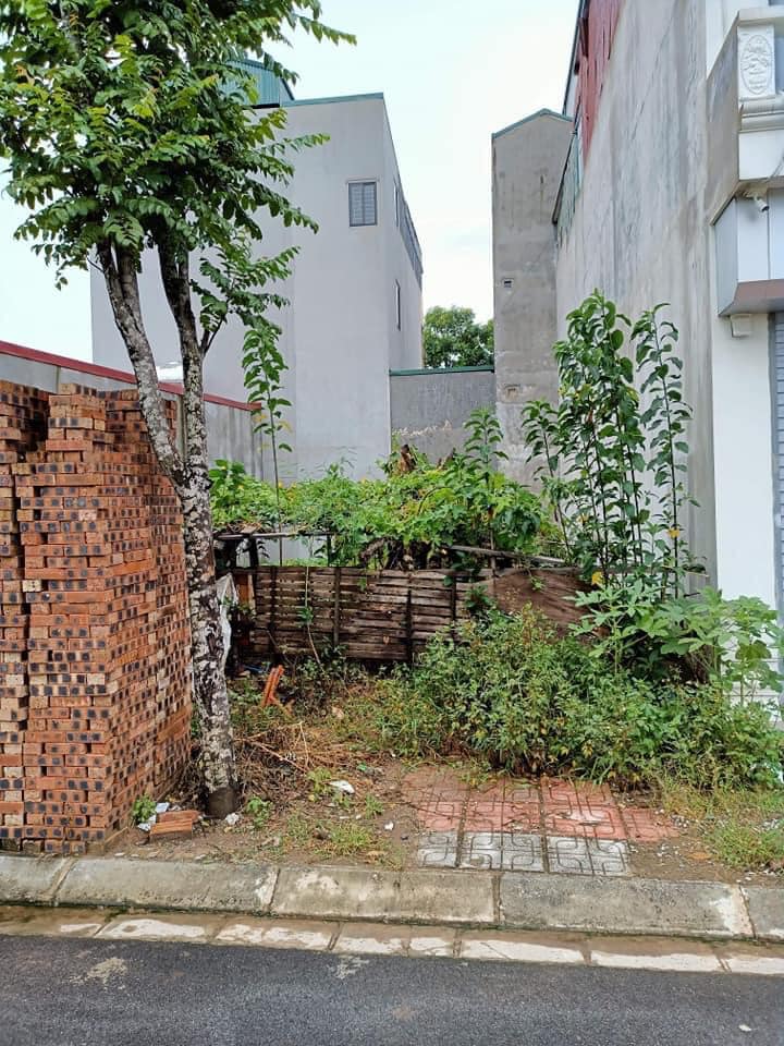 Bán Mảnh Đất Phường Phúc Lợi, Ô Tô Tránh Kinh Doanh, 50m2, Mặt Tiền 4m, Nhỉnh 3 Tỷ.