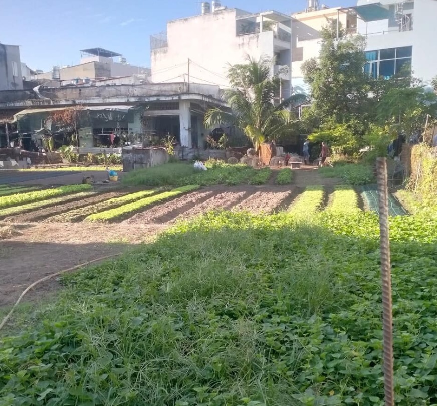 HẺM RỘNG XE HƠI VÔ NHÀ - NI SƯ HUỲNH LIÊN, TÂN BÌNH - 66M2 GIÁ RẺ 4.5 TỶ