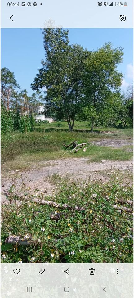 Cần sang nhượng nhanh mảnh đấ.t tại bản Co Cáng, phường Nam Thanh