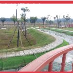  100m2 - 1