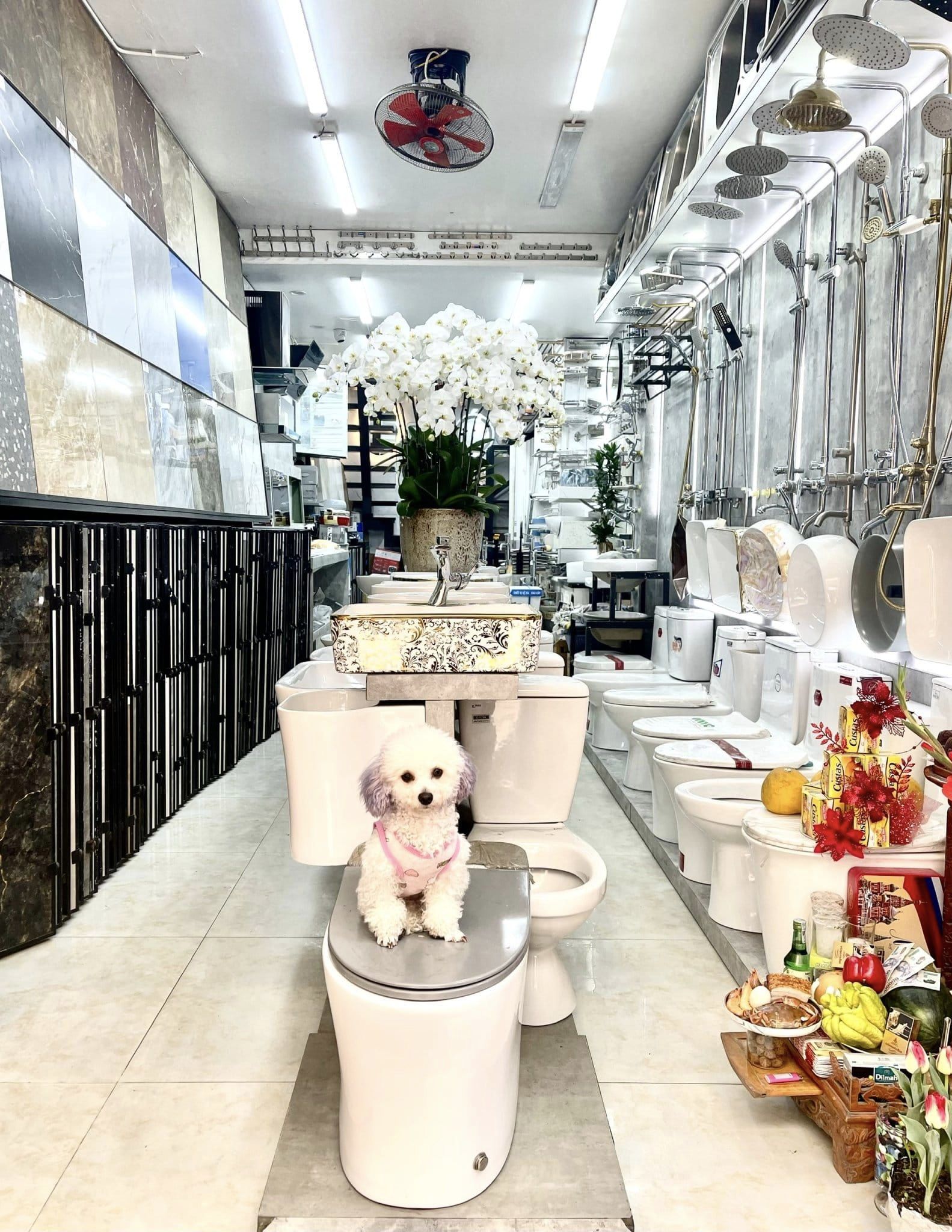 NHÀ ĐẸP MẶT PHỐ TRẦN CUNG 50m2 - 12,5 tỷ TẶNG FULL NỘI THẤT - KHU VỰC TRUNG TÂM TỪ LIÊM