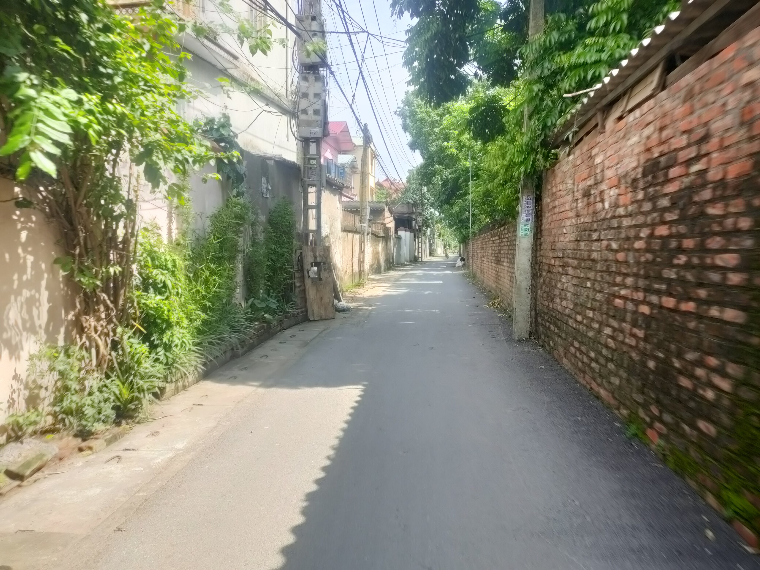 58m nhỉnh 1 tỷ, đát Lạc Đạo, đường rộng, ô tô 29 chỗ vào tận đất.