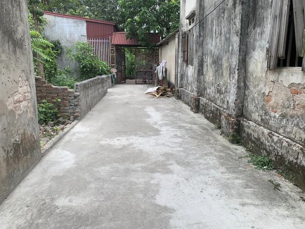 Cần bán gấp đất Chỉ Đạo - Văn Lâm, 100m, chỉ 12tr/m.