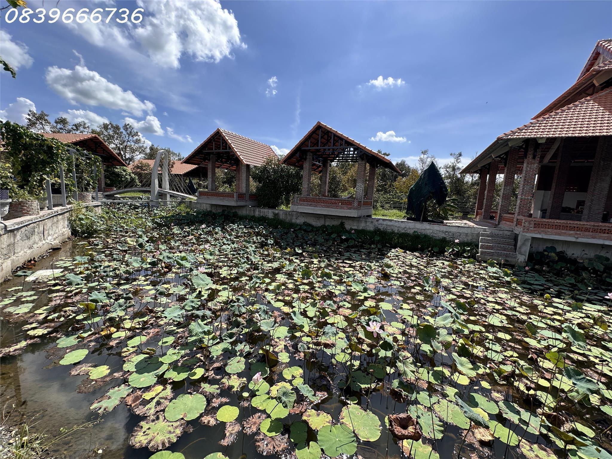 Kinh Doanh Và Cho Thuê Bất Động Sản: Đầu Tư An Toàn, Lợi Nhuận Ổn Định