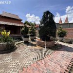  9000m2 - 6