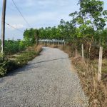  3000m2 - 3