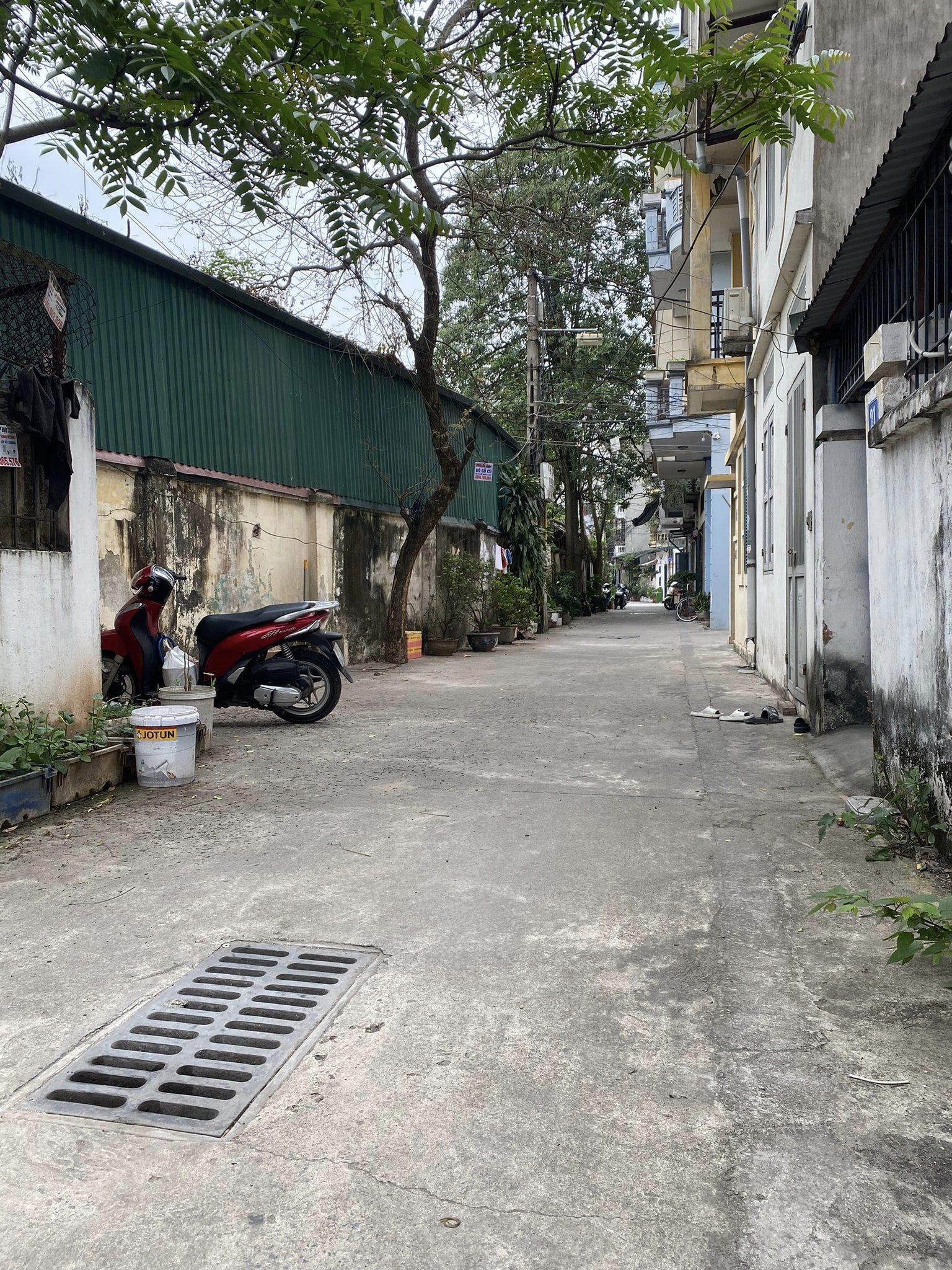 bán đất Ngọc Thuỵ trong đê 54m oto vào đất, lô góc, khu phân lô, giá chỉ nhỉnh 3 tỷ vẫn Thương lượng mạnh