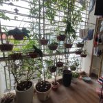  40m2 - 1