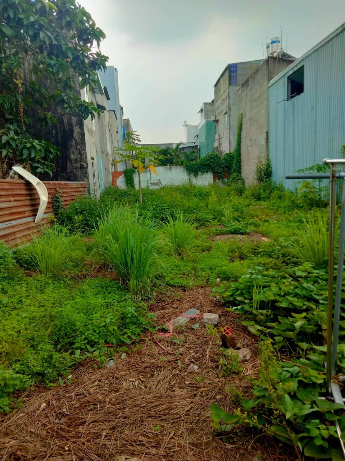 HÓT…GIẢM GIÁ BÁN GẤP Đất Thổ Cư Thạnh Lộc 15, Quận 12- 221M2, Giá Chỉ 6 TỶ900-TL