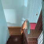  45m2 - 3