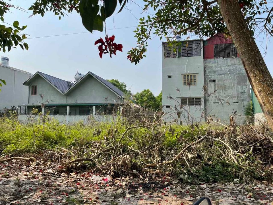 Gia đình có mảnh đất b.á.n thu hồi vốn ở khu TĐC Thanh Trường