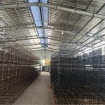  5000m2 - 4