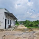  5000m2 - 5