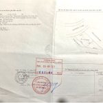 77.9m2 - 6