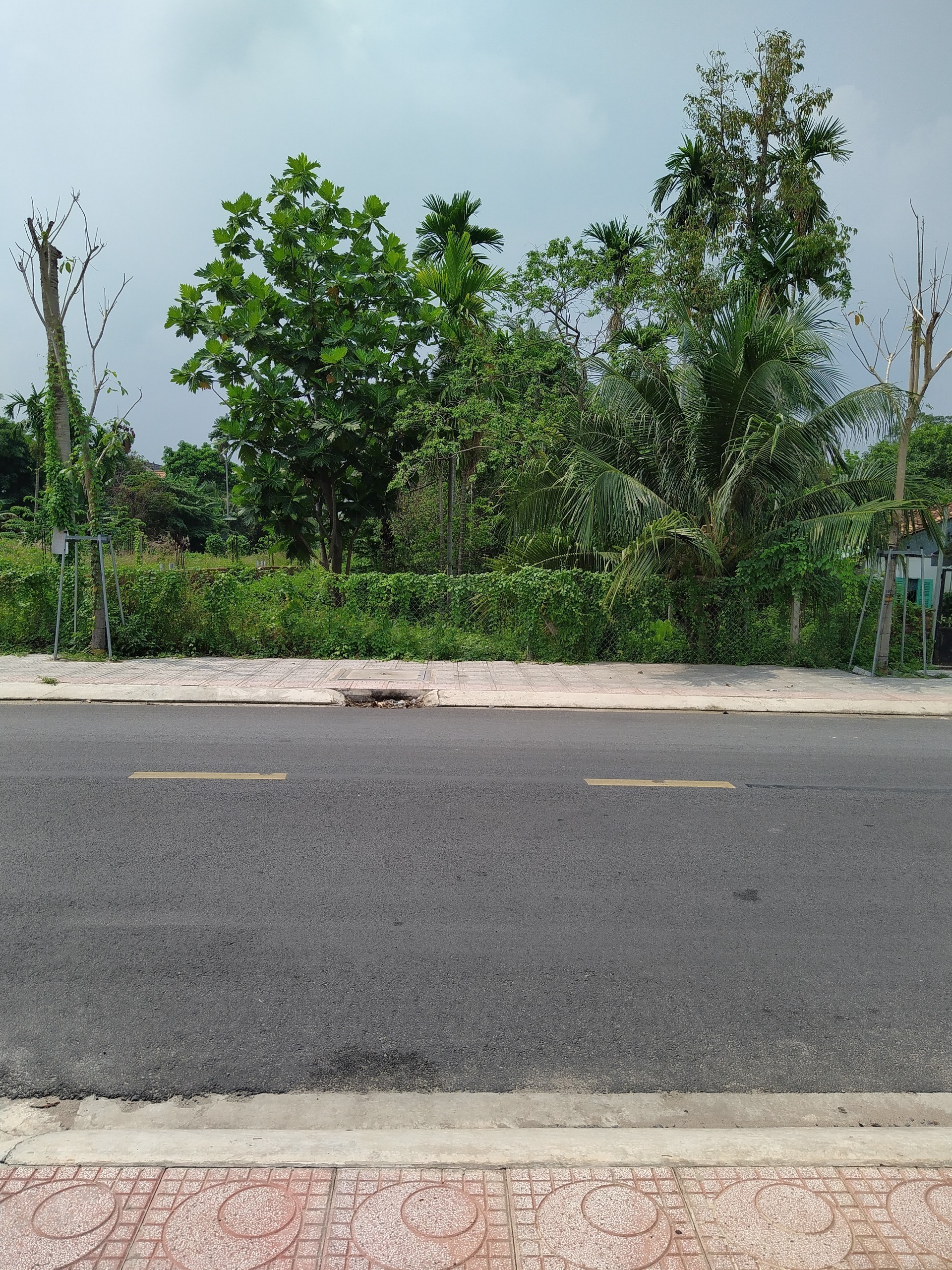 6 000m2 dat mat tien duong binh nham 83 5565131 5