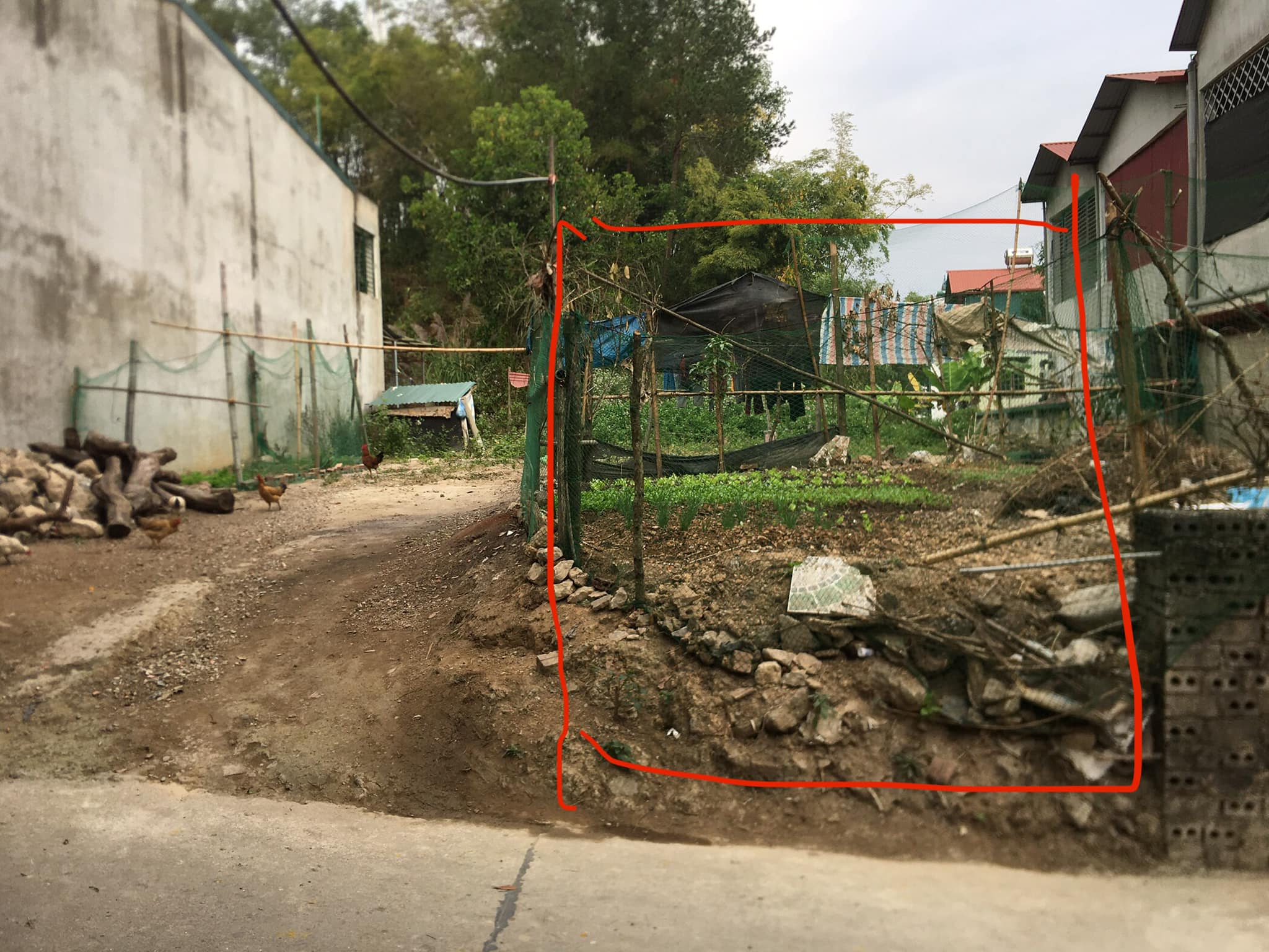 Gia đình em cần chuyể.n nhượ.ng mảnh đất ở phường Thanh Trường