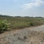  100000m2 - 4