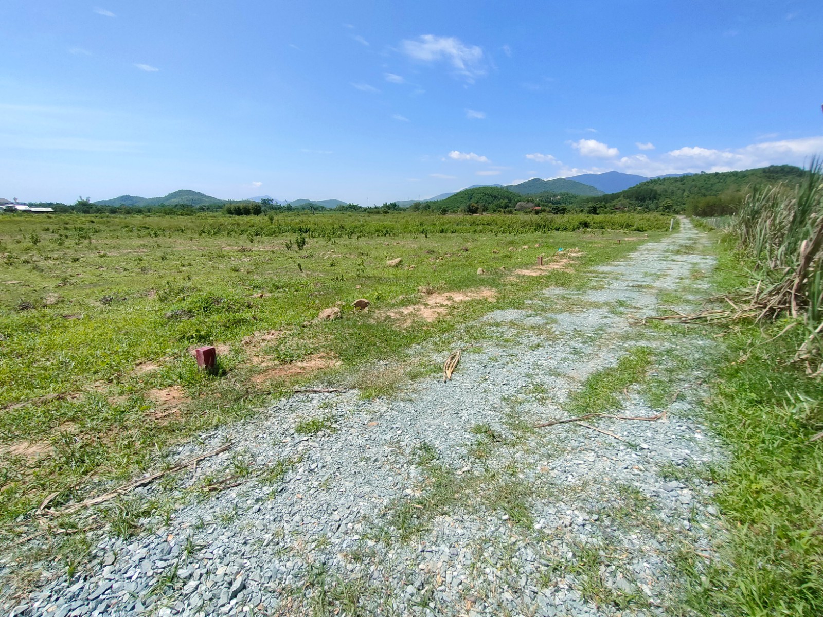 Bán đất vườn Diên Đồng giá rẻ gần trục đường nhựa liên xã