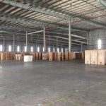 300m2 - 3