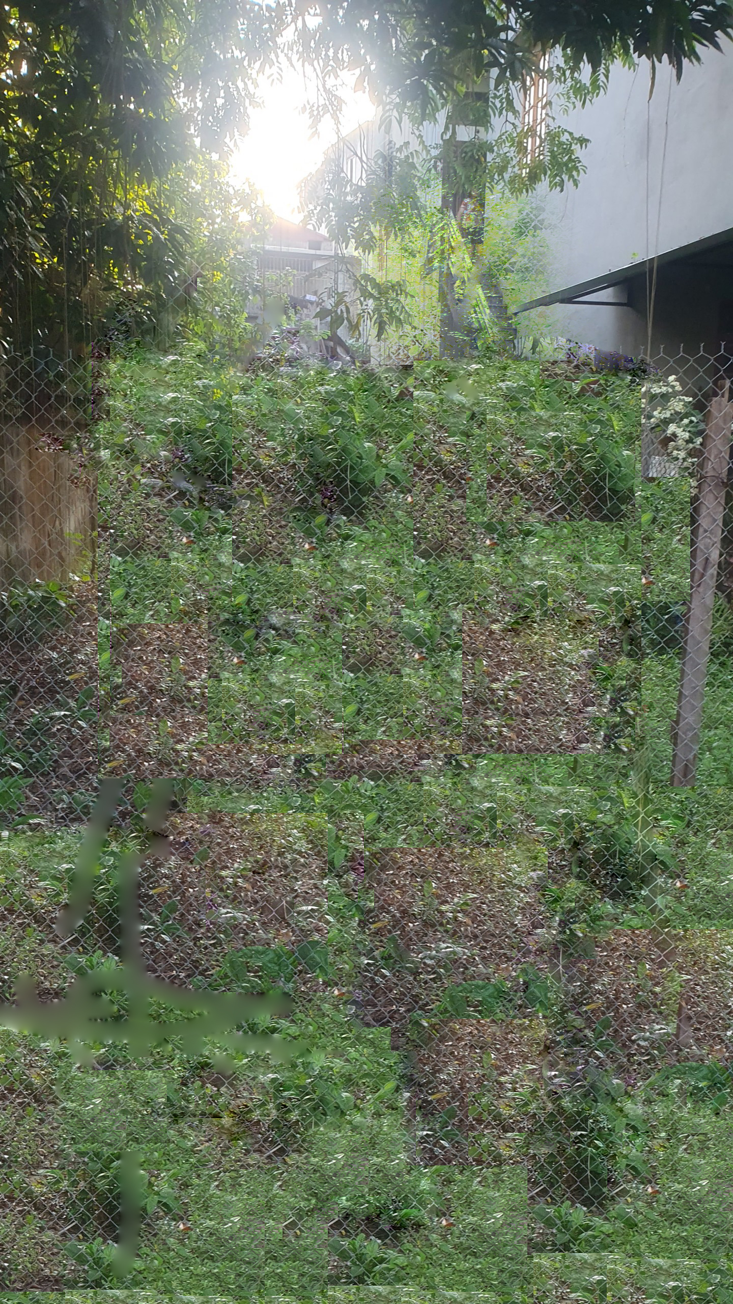 Kinh Bắc 97m² kinh doanh cho thuê tốt, nhỉnh 2 tỷ