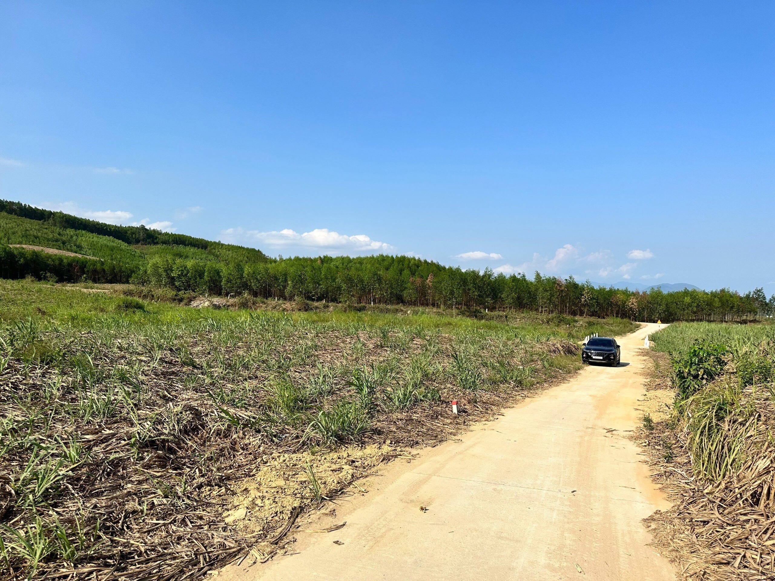 CẦN BÁN ĐẤT KHÁNH NAM GIÁ CHỈ 199TR/LÔ