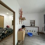  50m2 - 5