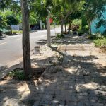  100m2 - 1