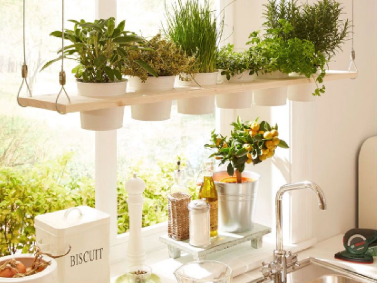 cay-phong-thuy-cho-nha-bep-0