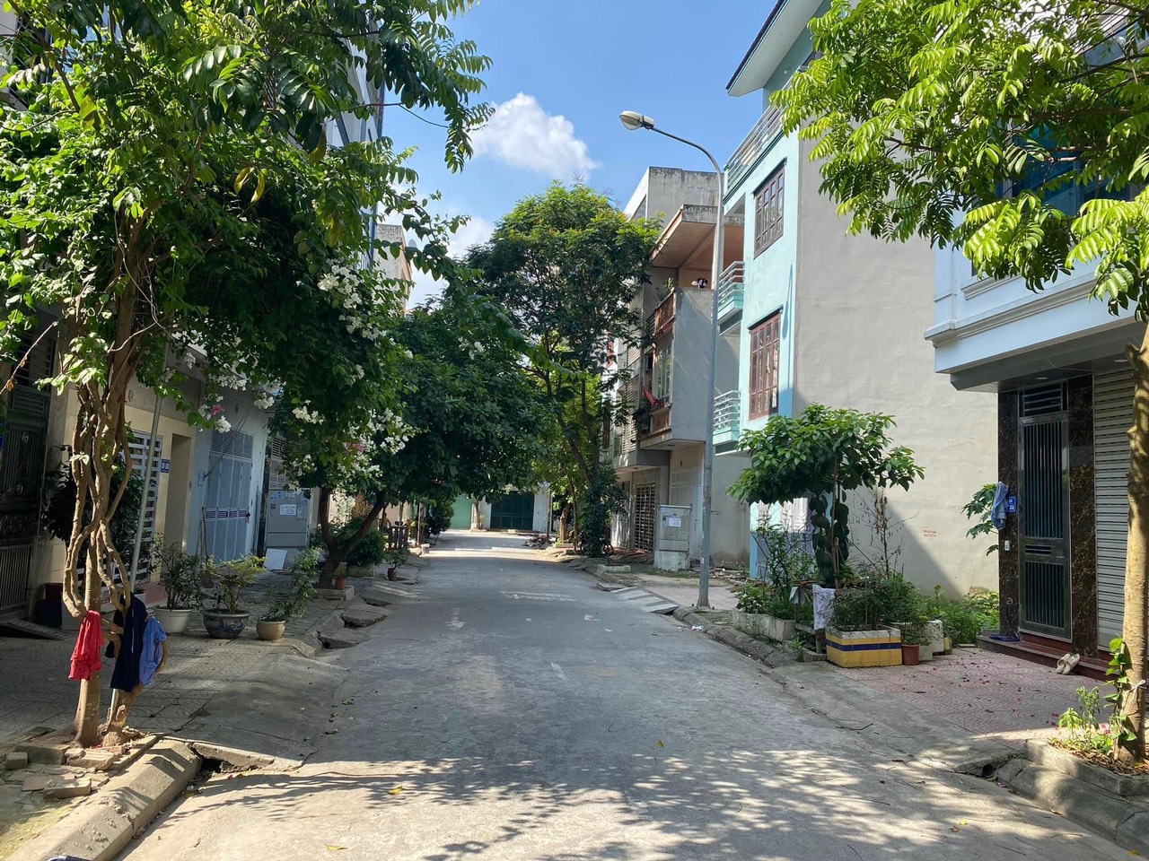 Bản tin siêu Nóng, Phân Lô Hàng Bè Mậu Lương, gara ô tô, NHỈNH 6 tỷ.