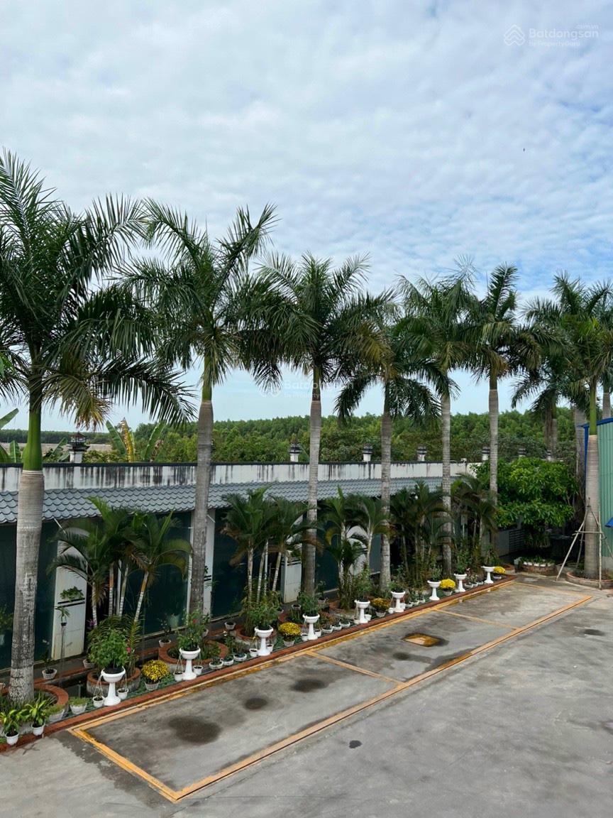 Bán nhà xưởng vị trí đẹp thuận tiện đi lại thích hợp làm kho xưởng nhà sản xuất.