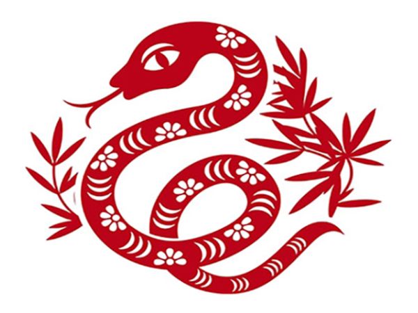 Giới thiệu về người tuổi Tỵ và lợi ích của cây phong thủy trong-cay-phong-thuy-trong-nha-theo-tuoi-ty-1