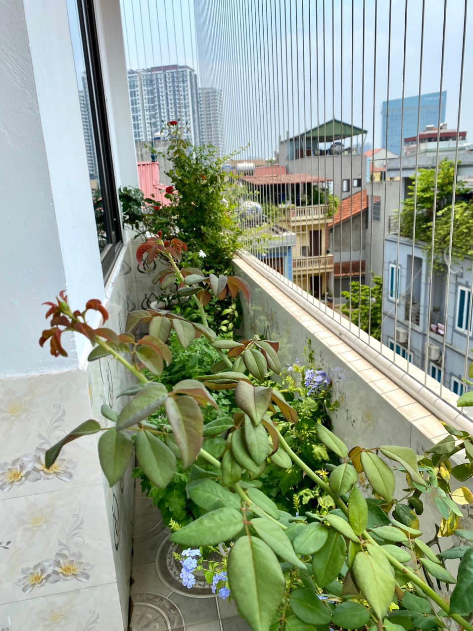 BÁN NHÀ TRẦN CUNG, CĂN GÓC, TUYỆT ĐẸP 32m2, 5 tầng, MT 5m, giá lại chỉ 4,15 tỷ