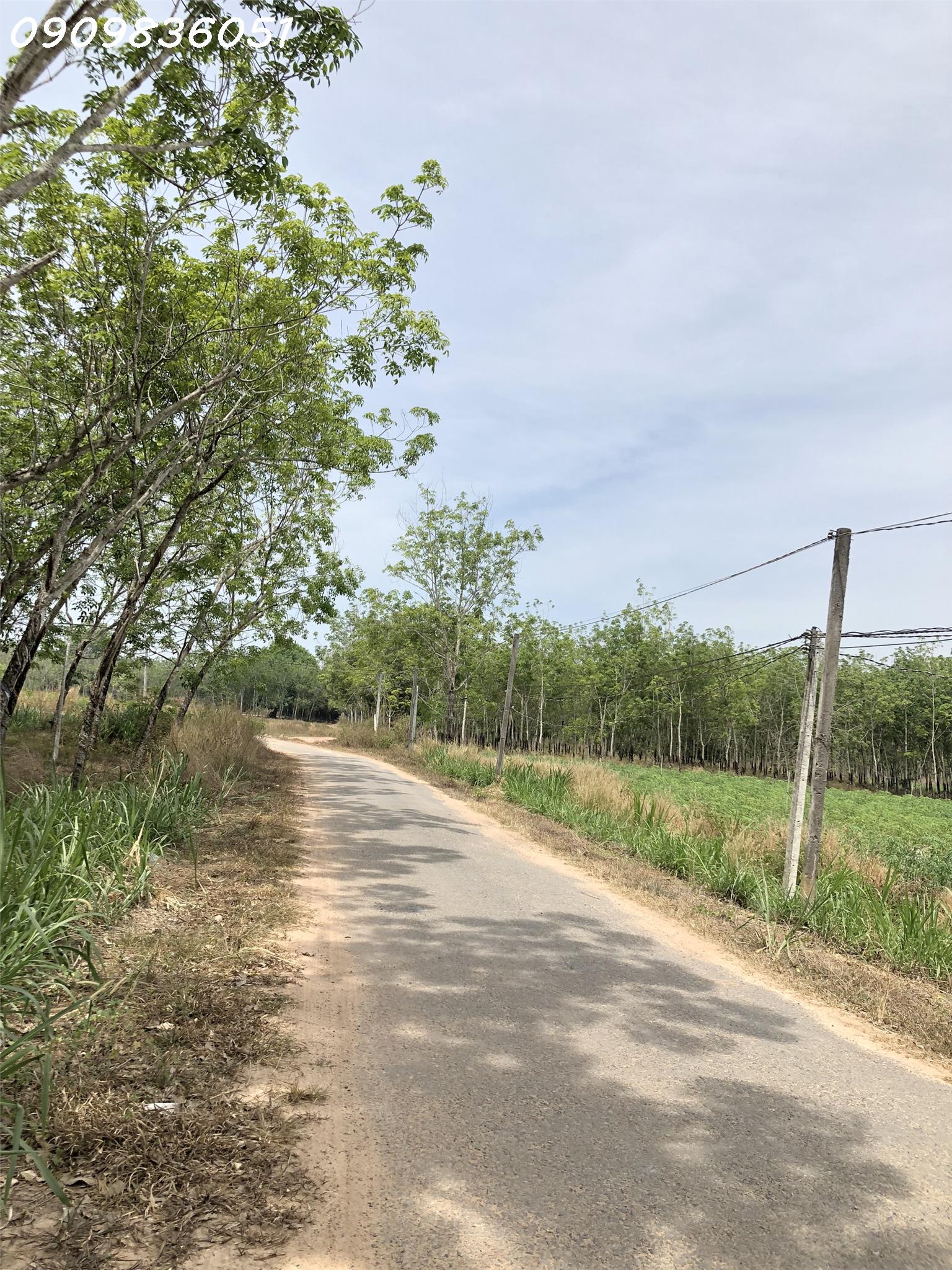 XEM LÀ ƯNG NGAY 1500m2 ĐẤT VƯỜN - SỔ RIÊNG GIÁ RẺ CHỈ 472 NGHÌN / M2