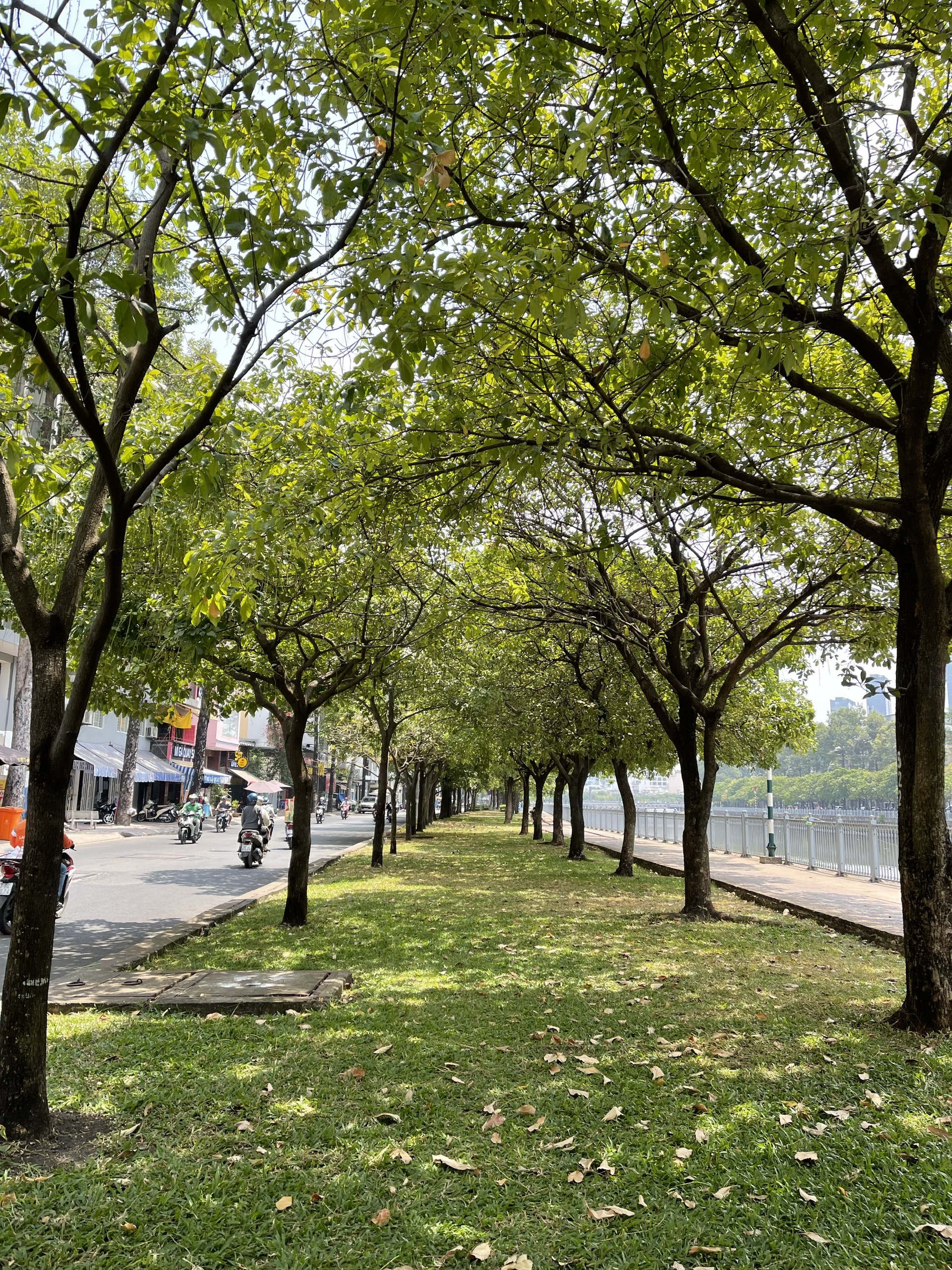 HOT.. CHỈ 5 TỶ xx CÓ NHÀ 3 TẦNG- MẶT TIỀN ĐƯỜNG TRƯỜNG SA PHÚ NHUẬN