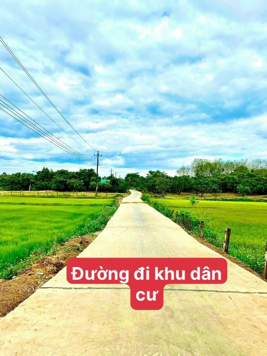 Nhà đất Gia Lai giá rẻ mặt tiền đường bê tông thông tứ hướng 10*100 có 50m2 thổ cư