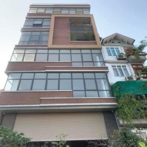 Bác mình có căn nhà mặt hồ Linh Quang, Văn Chương, Đống Đa