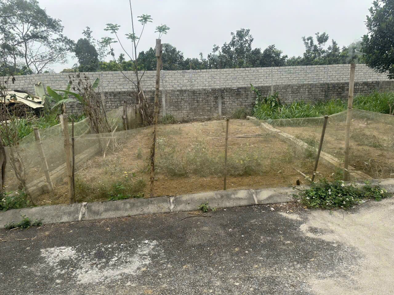 GIÁ CẮT LỖ 60M. GIÁ 900TR