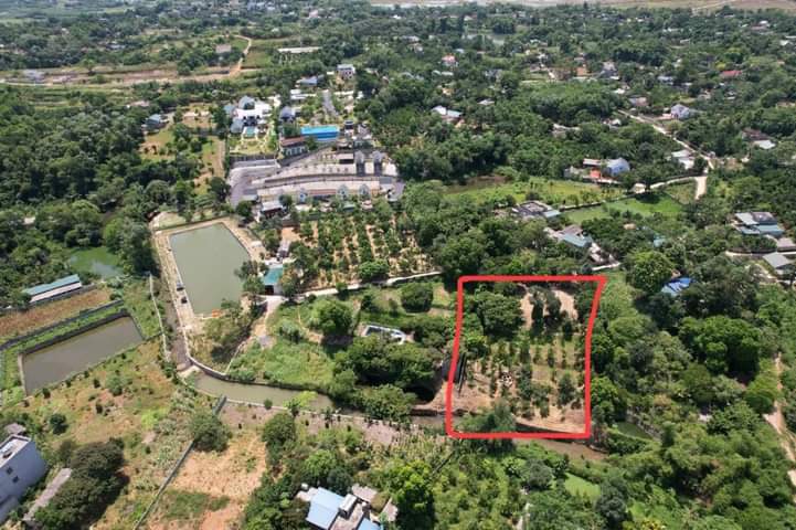 CHÍNH CHỦ CẦN TIỀN NHỜ BÁN CHỈ MONG HỒI VỐN LÔ ĐẤT CỰC ĐẸP BÁM SUỐI TẠI CƯ YÊN- LS