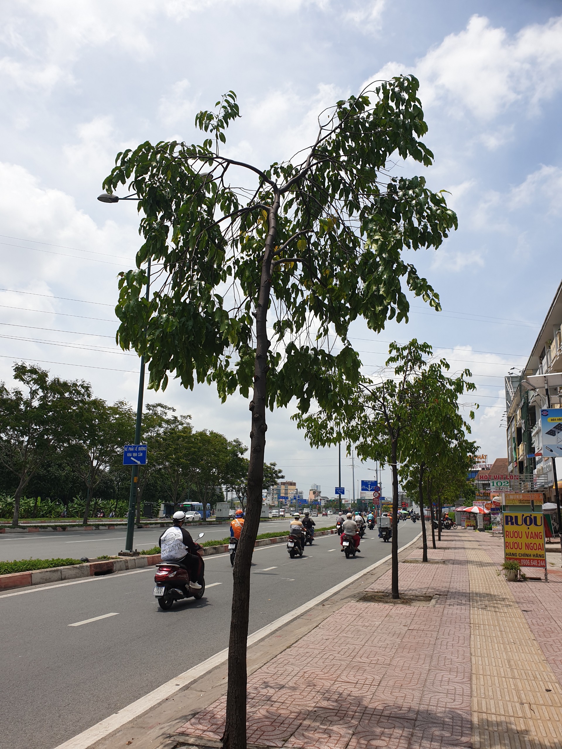 SIÊU SIÊU PHẨM PHẠM VĂN ĐỒNG. LINH ĐÔNG 3 MẶT ĐÔLA. DÒNG TIỀN THU VÀO CỰC CAO VÀ LUÔN ỔN ĐỊNH. NHỈNH 23 TỶ.