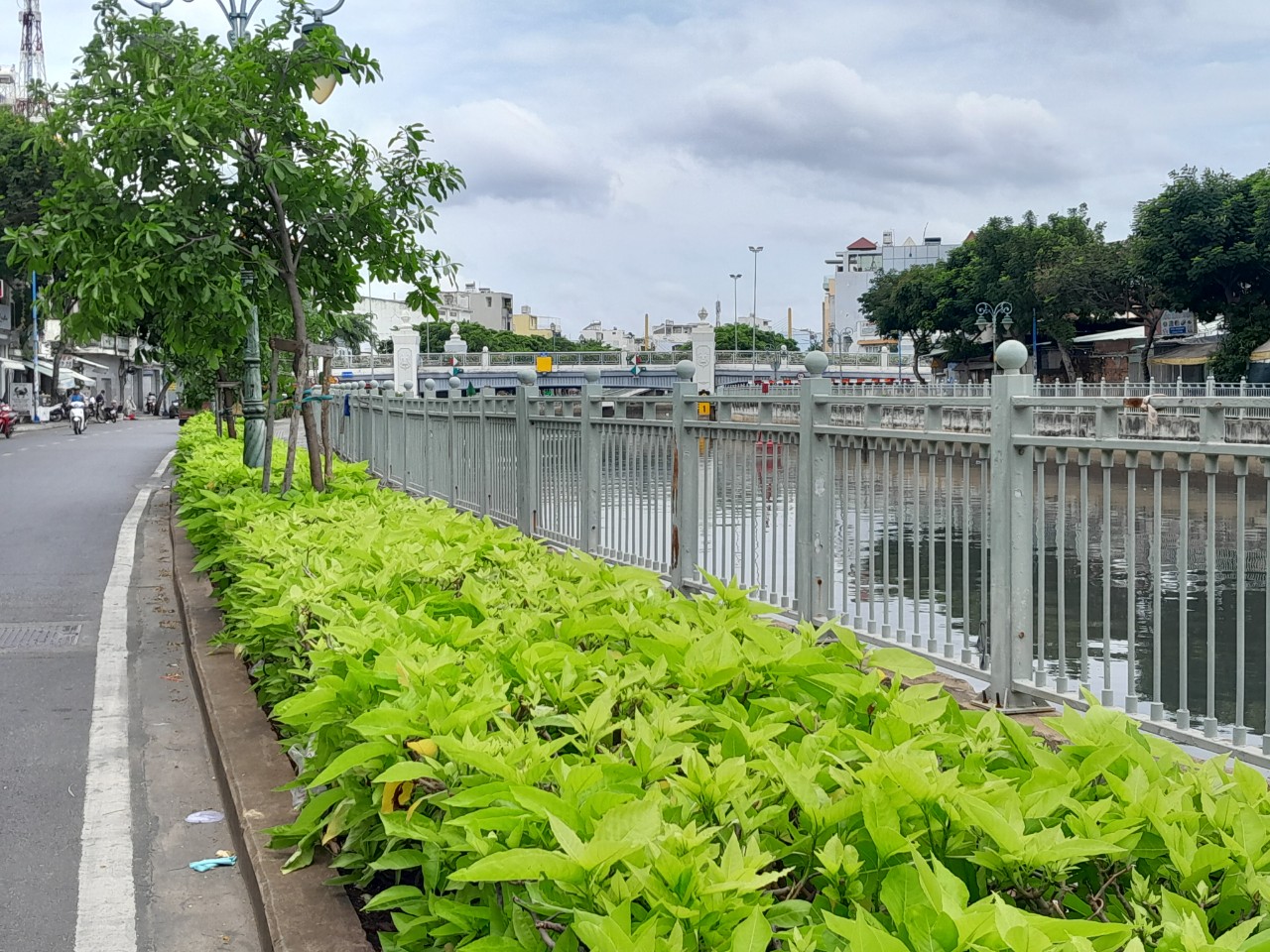 Cần tiền bán gấp nhà nát 99m2 đường Lò Gốm, P8, Quận 6